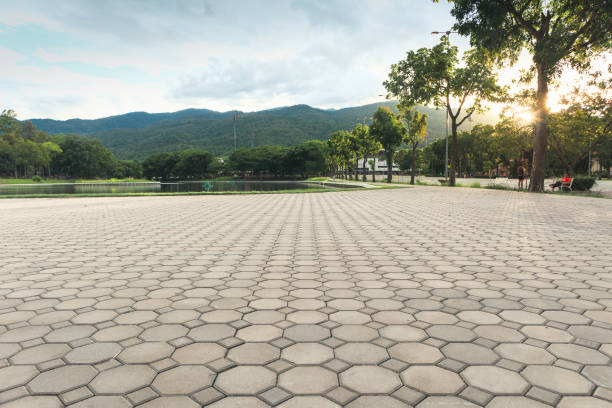 Best Local Driveway Pavers  in Ruleville, MS